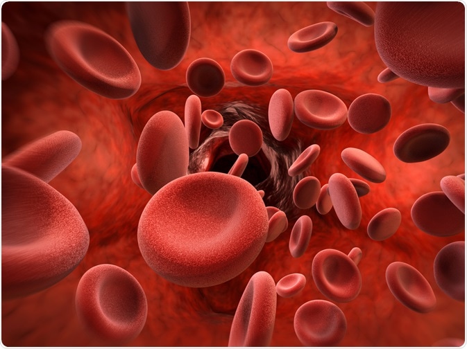 Hemoglobin Levels